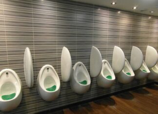 Jak mocz trafia do pęcherza? Jak mocz trafia do pęcherza?