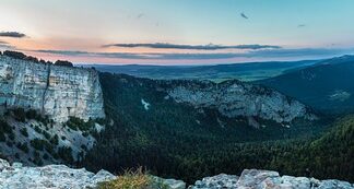 Co widać gołym okiem w moczu?
