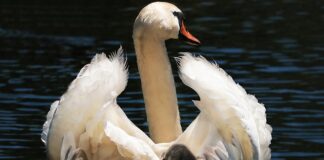 Jak ogrzać fotelik samochodowy?