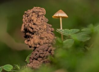 Co odpowiada za wydalanie?