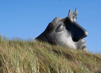 Jak uspokoić jelita ze stresu?