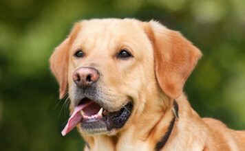 Co powinno niepokoić w wynikach krwi?