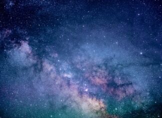 Co to jest badanie Porali?