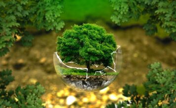 Jakie cechy powinien mieć dobry weterynarz?